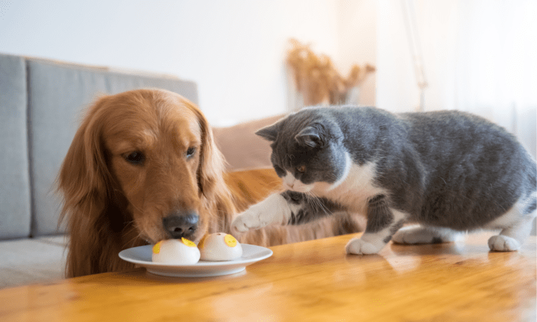 The Top 15 Pet Treats in Europe by 2025: Insights for the Pet Treats Business