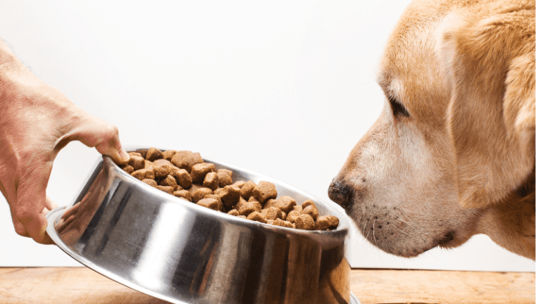 Christmas Dog Treats Wholesale: Your Guide to Stocking Up for the Holiday Season