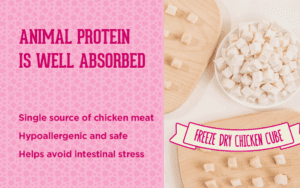 Freeze-Dried Chicken Dog Treats in Bulk