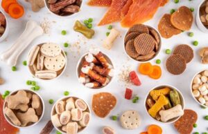 Halal Cat Wet Food Suppliers