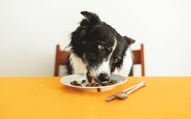 	Mrs Patricia Overman