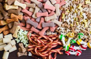 Wholesale Natural Dog Chews